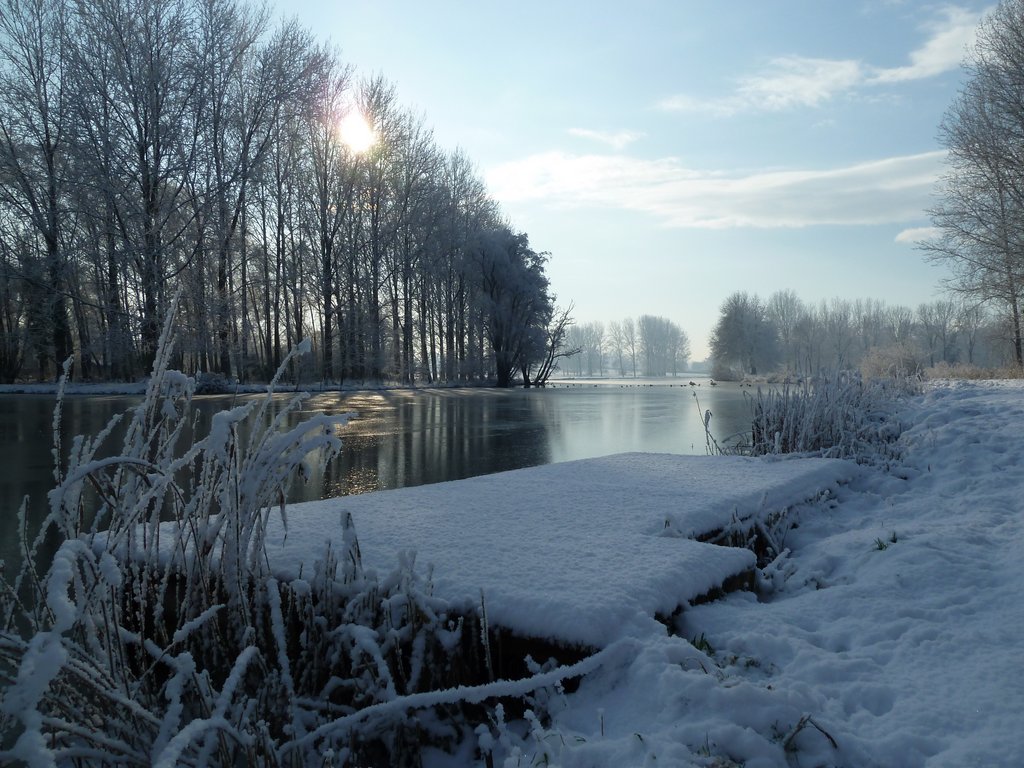 neige janvier 2013 (1)